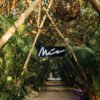 Mia Tulum Beach Club