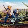 Tour en Tequila Jalisco a Fabrica Jose Cuervo y Recorrido por Ciudad