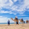 Tour en Camello en Los Cabos Camel Safari