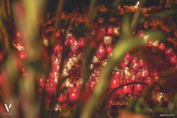 Tour Dia de Muertos Michoacán 2024 desde Morelia Zona Lacustre de Patzcuaro Precios y Paquetes