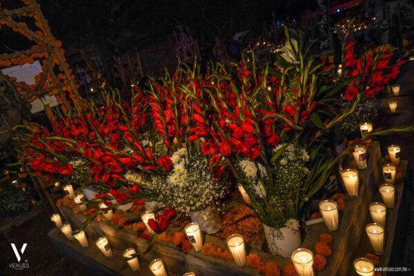 Tour Dia de Muertos Michoacán 2024 desde Morelia Zona Lacustre de Patzcuaro Precios y Paquetes