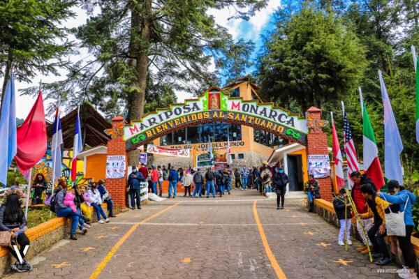 Santuario de la Mariposa Monarca "El Rosario" Información Precios Ubicación Costos