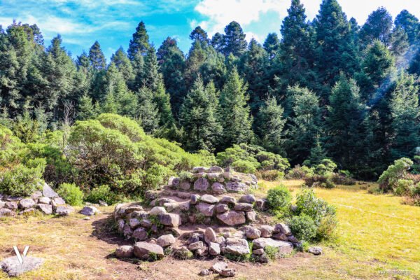 Santuario de la Mariposa Monarca "El Rosario" Información Precios Ubicación Costos