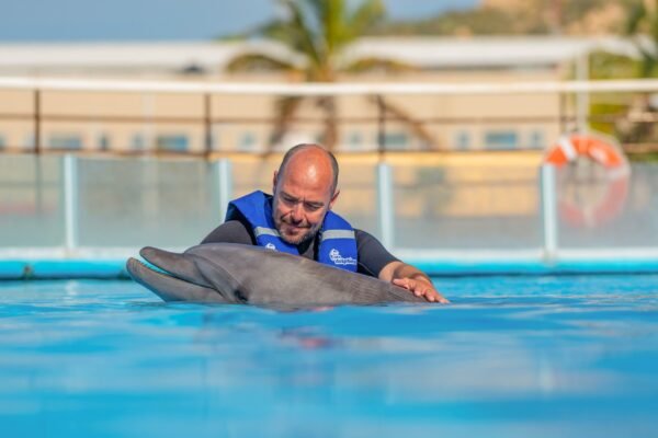 Cabo Adventures Nado Premium Precios