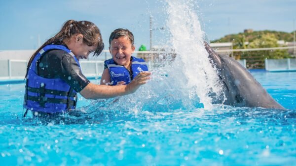 Cabo Adventures Nado Premium Precios