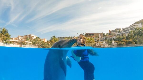 Cabo Adventures Nado Premium Precios