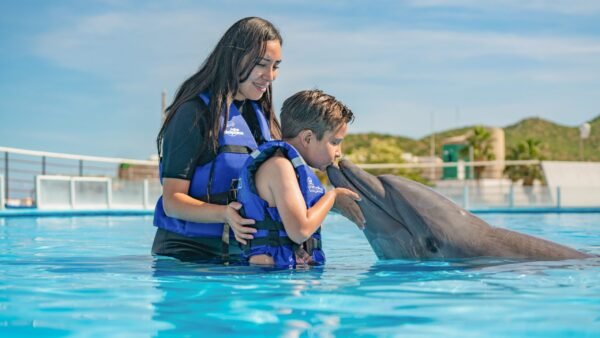 Cabo Adventures Nado Premium Precios