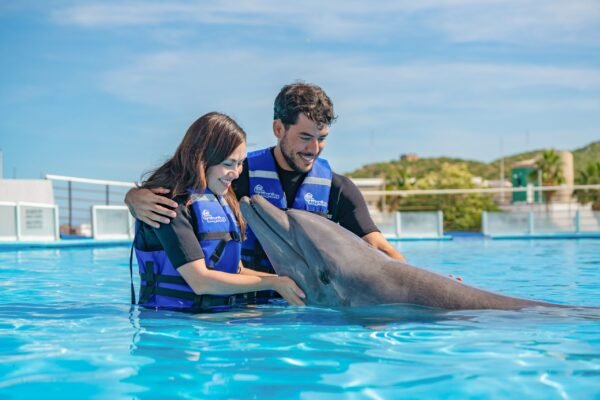 Cabo Adventures Nado Premium Precios