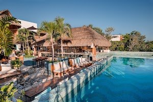 Mayan Monkey | Best Hotel in Tulum