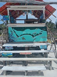 Tours a Holbox place picture