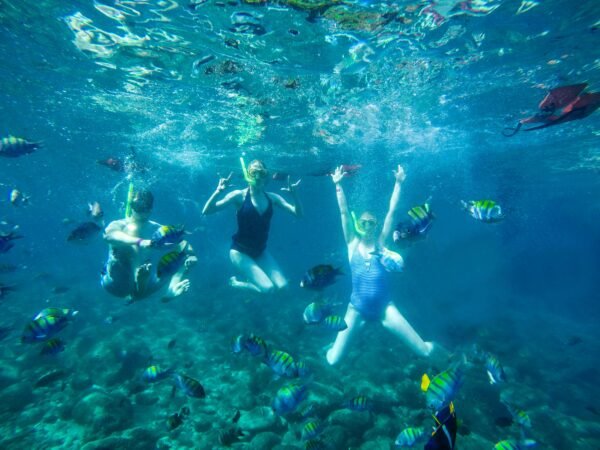 Velero de Lujo al Arco de Los Cabos y Snorkel