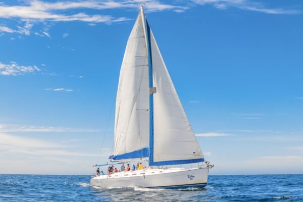 Velero de Lujo al Arco de Los Cabos y Snorkel