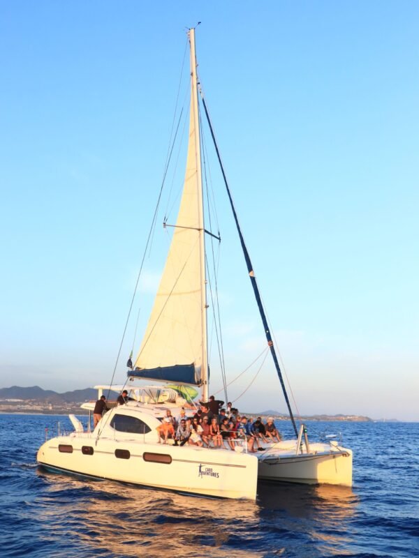 Velero de Lujo al Arco de Los Cabos y Snorkel