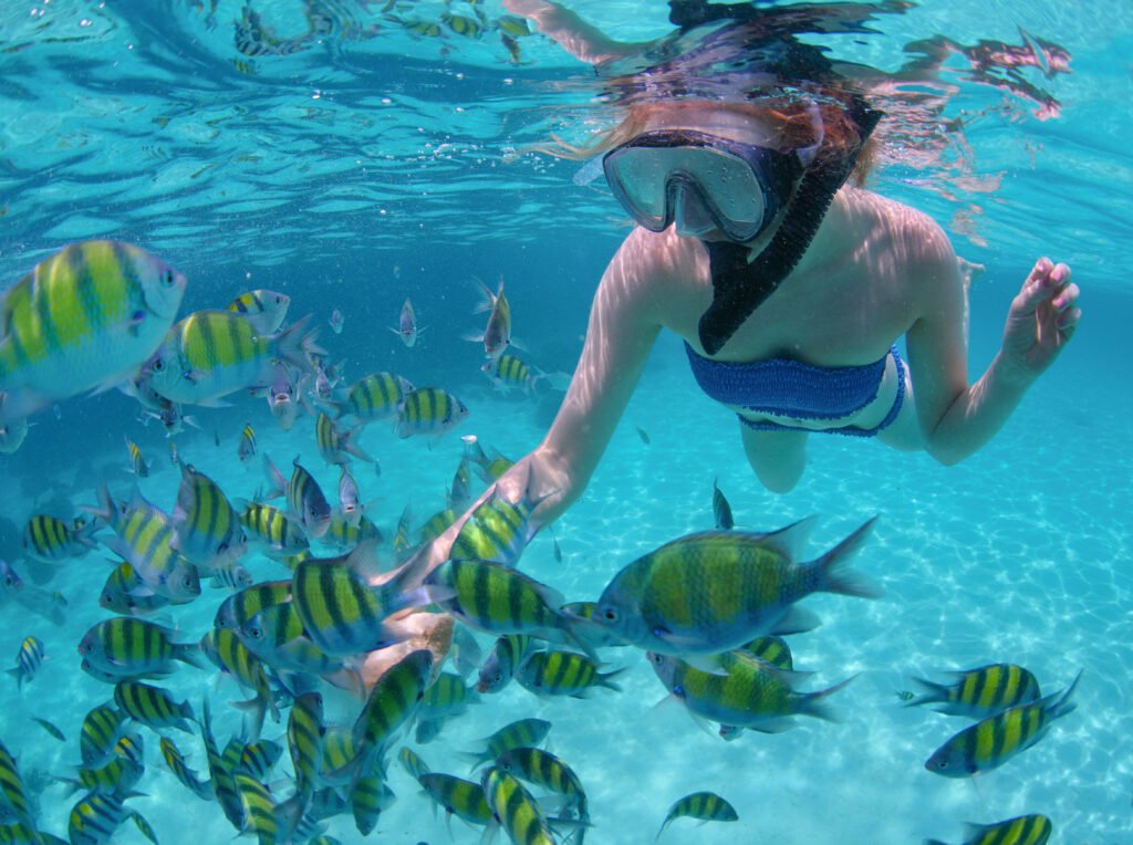 Velero de Lujo al Arco de Los Cabos y Snorkel