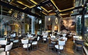 RosaNegra | Latin American Restaurant in Polanco place picture