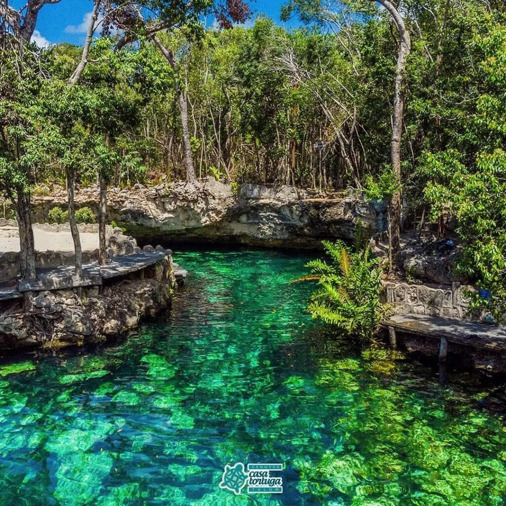Tour a Tulum Zona Arqueologica y Cenotes Casa Tortuga