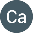 Ca Fe profile picture