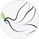 Yulissa Torres Sanchez profile picture