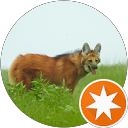 Tomas Rios Ghirardi profile picture