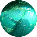 Alan Medel profile picture