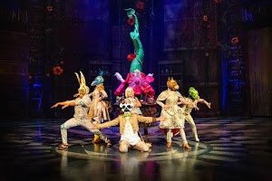 Cirque du Soleil | Vidanta Riviera Maya place picture