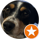 Aylin Flores profile picture