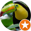 jacques lapla profile picture