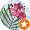PEARLR profile picture